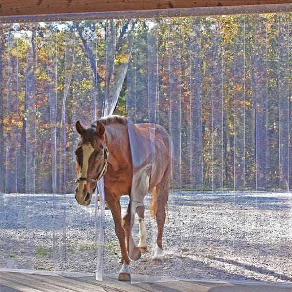 Cheval traversant un rideau à lanières PVC souple transparent – passage libre et protection thermique pour écurie