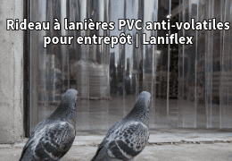 Rideau à lanières PVC pour entrepôts : bloquer les pigeons et les volatiles sans condamner les accès